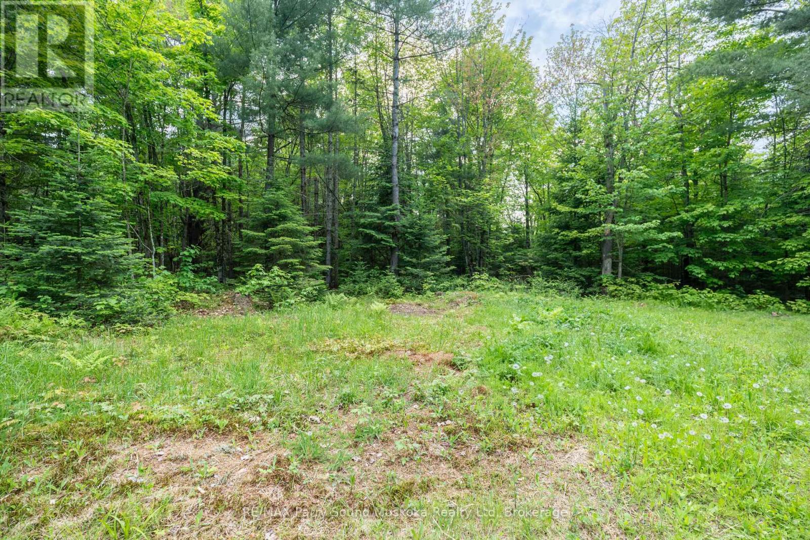 141 Middle Road, Mcmurrich/monteith, Ontario  P0A 1C0 - Photo 25 - X12220816