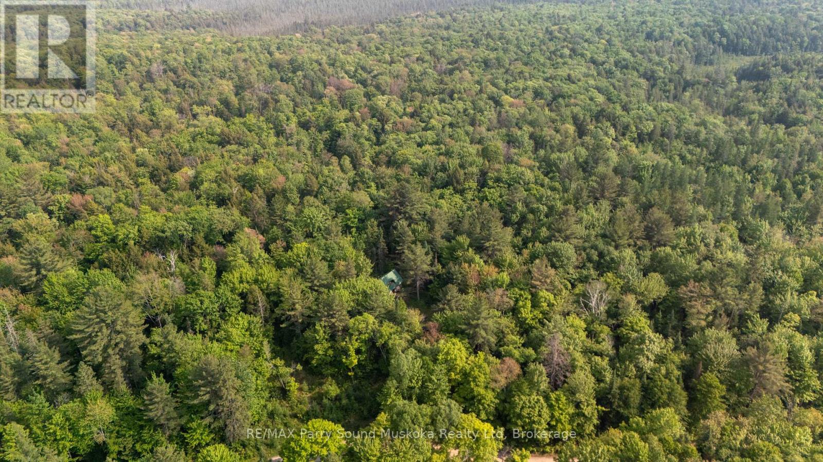 141 Middle Road, Mcmurrich/monteith, Ontario  P0A 1C0 - Photo 33 - X12220816