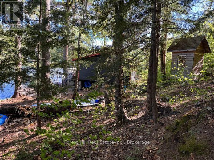 1293 Causeway Drive, Algonquin Highlands, Ontario  P0A 1E0 - Photo 20 - X12220894