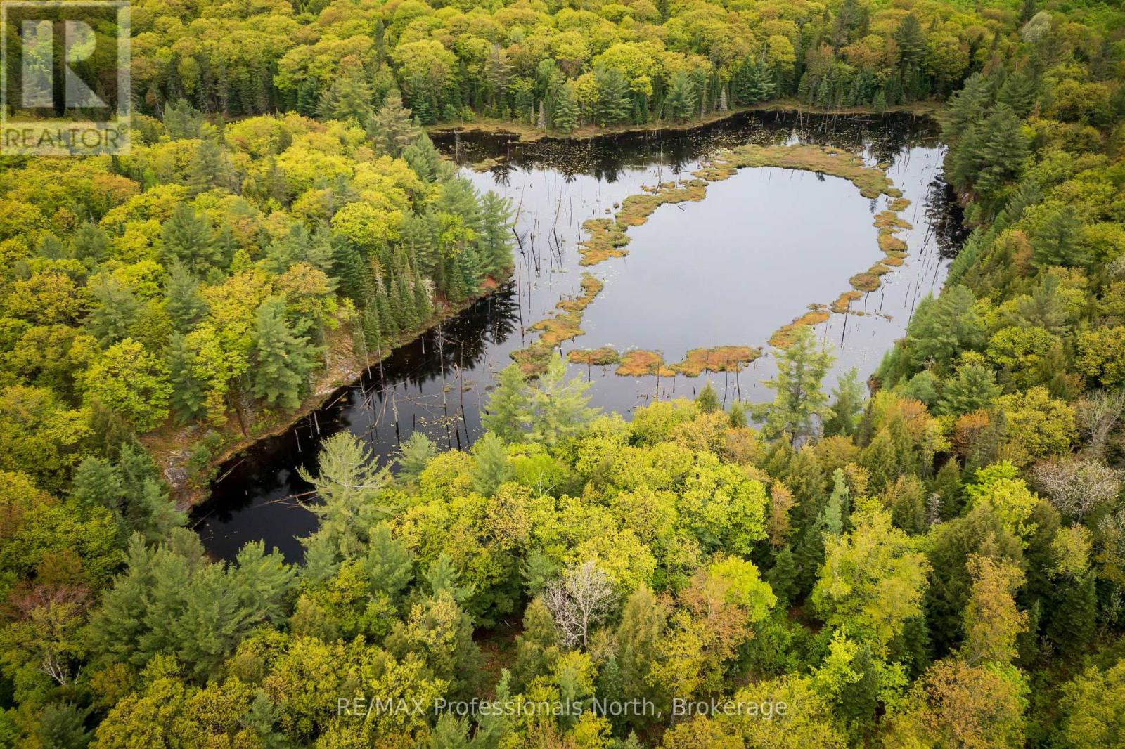 24430 Highway 35 Highway, Lake Of Bays, Ontario  P0A 1E0 - Photo 23 - X12220930
