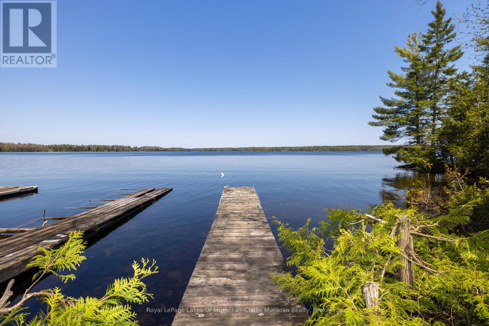 185 Woodland Trail, Severn, Ontario  L0K 1S0 - Photo 37 - S12221314