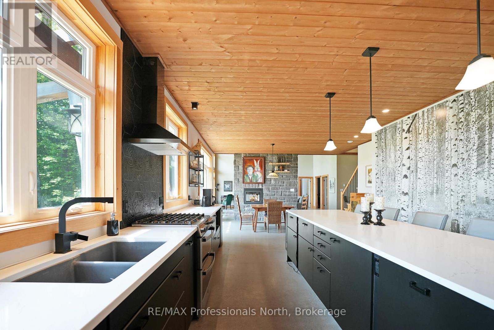 1049 Twin Rocks Lane, Algonquin Highlands, Ontario  K0M 1S0 - Photo 8 - X12221336