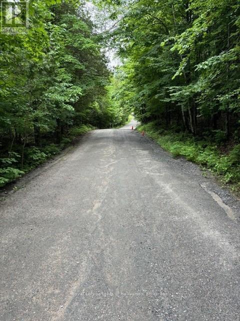 Lot 70 25th Line, Algonquin Highlands, Ontario  K0M 1J1 - Photo 10 - X12221525