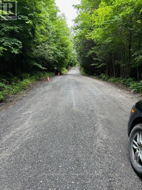Lot 70 25th Line, Algonquin Highlands, Ontario  K0M 1J1 - Photo 11 - X12221525