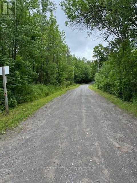 Lot 70 25th Line, Algonquin Highlands, Ontario  K0M 1J1 - Photo 2 - X12221525