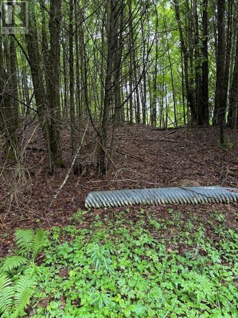 Lot 70 25th Line, Algonquin Highlands, Ontario  K0M 1J1 - Photo 3 - X12221525