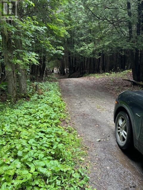 Lot 70 25th Line, Algonquin Highlands, Ontario  K0M 1J1 - Photo 4 - X12221525