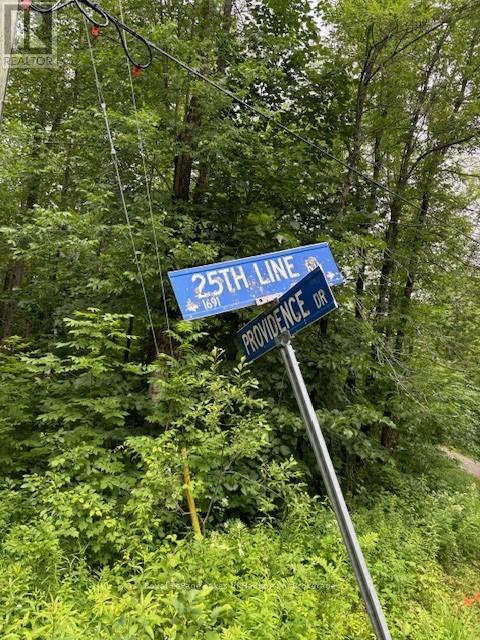 Lot 70 25th Line, Algonquin Highlands, Ontario  K0M 1J1 - Photo 6 - X12221525
