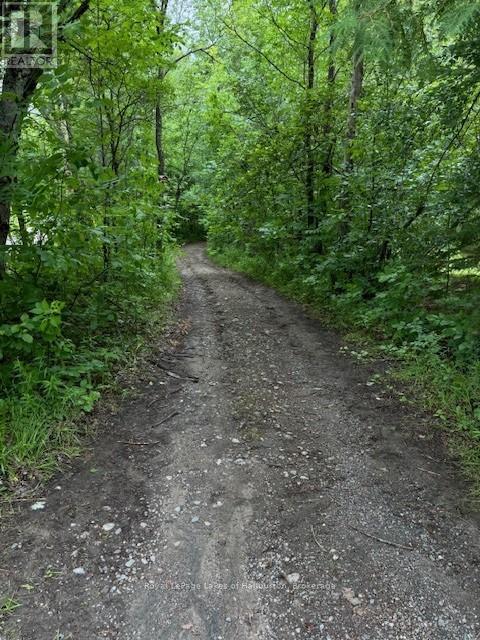 Lot 70 25th Line, Algonquin Highlands, Ontario  K0M 1J1 - Photo 8 - X12221525