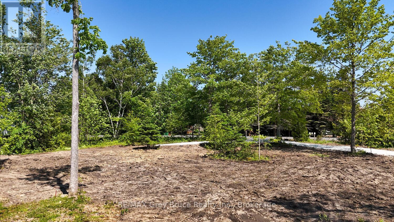 11 Miller Lake Shore Road, Northern Bruce Peninsula, Ontario  N0H 1Z0 - Photo 10 - X12221568