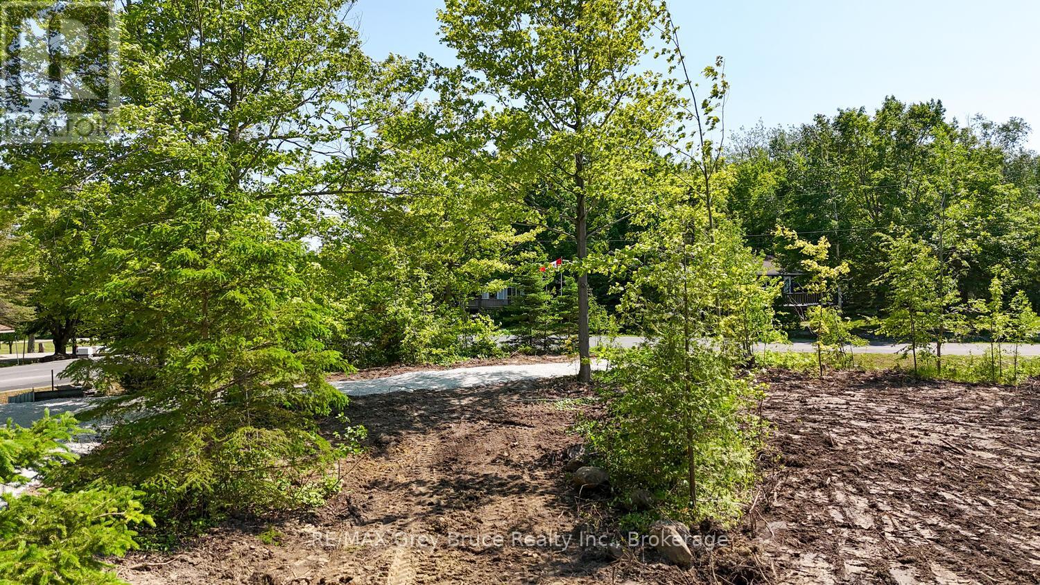 11 Miller Lake Shore Road, Northern Bruce Peninsula, Ontario  N0H 1Z0 - Photo 13 - X12221568