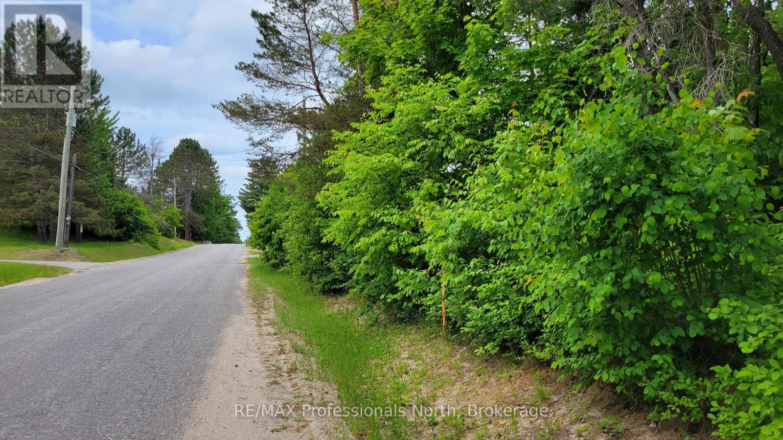 99 Albert Street, Sundridge, Ontario  P0A 1Z0 - Photo 2 - X12222125