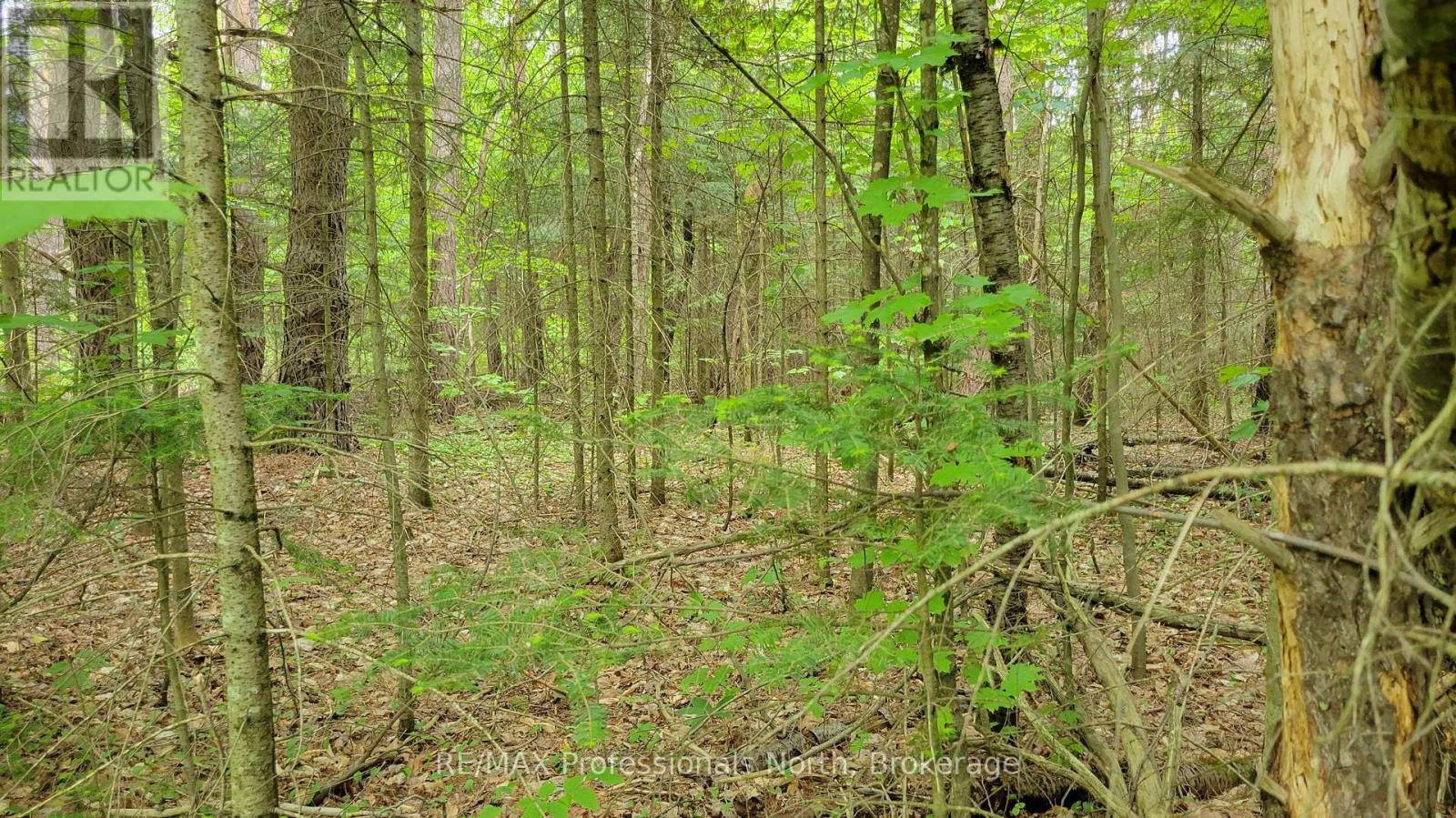 99 Albert Street, Sundridge, Ontario  P0A 1Z0 - Photo 3 - X12222125