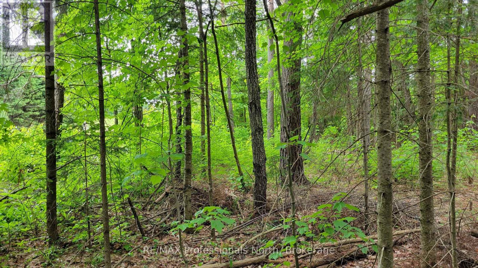99 Albert Street, Sundridge, Ontario  P0A 1Z0 - Photo 8 - X12222125