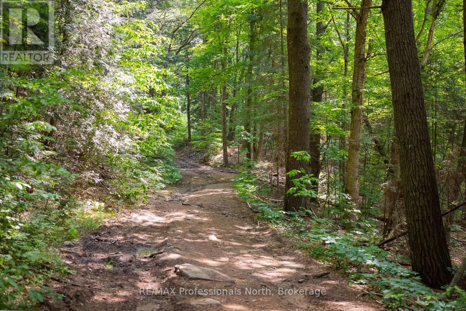 Lot 20 - 6 Concession, Huntsville, Ontario  P1H 2J3 - Photo 10 - X12222197