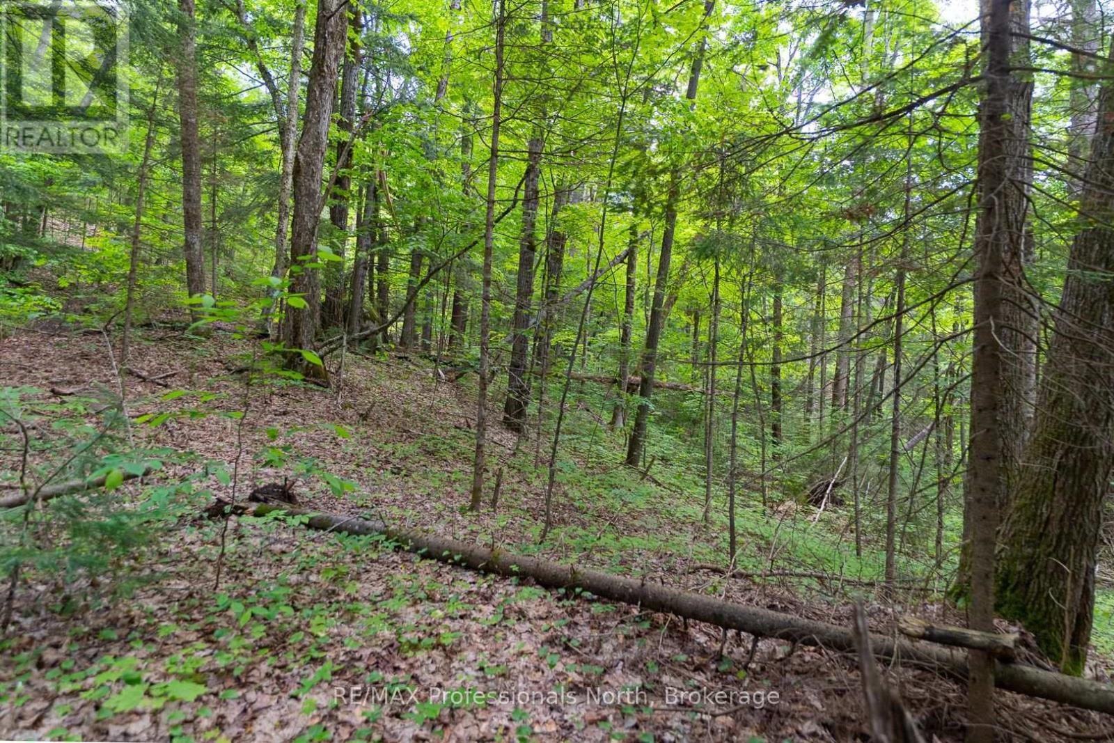 Lot 20 - 6 Concession, Huntsville, Ontario  P1H 2J3 - Photo 11 - X12222197