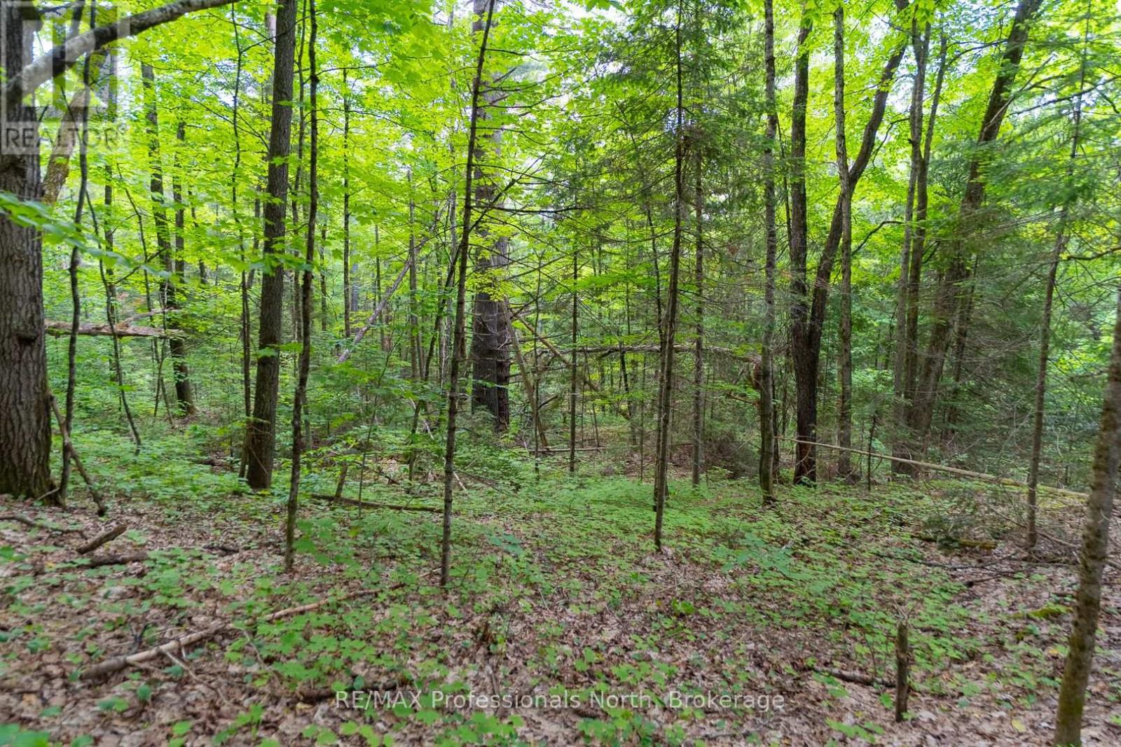 Lot 20 - 6 Concession, Huntsville, Ontario  P1H 2J3 - Photo 12 - X12222197