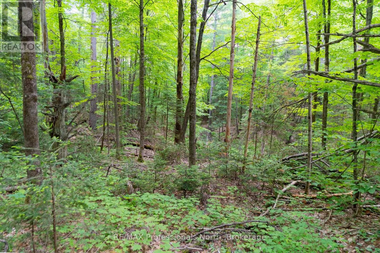 Lot 20 - 6 Concession, Huntsville, Ontario  P1H 2J3 - Photo 13 - X12222197