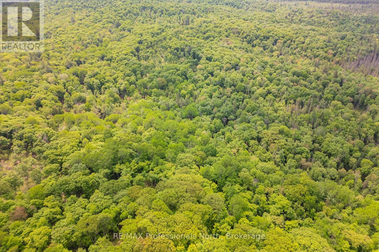 Lot 20 - 6 Concession, Huntsville, Ontario  P1H 2J3 - Photo 5 - X12222197