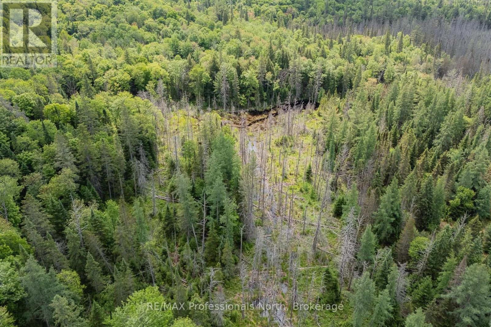 Lot 20 - 6 Concession, Huntsville, Ontario  P1H 2J3 - Photo 6 - X12222197