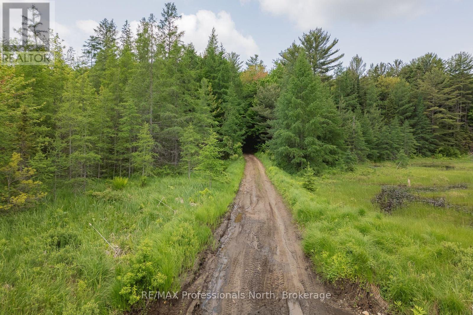 Lot 20 - 6 Concession, Huntsville, Ontario  P1H 2J3 - Photo 8 - X12222197