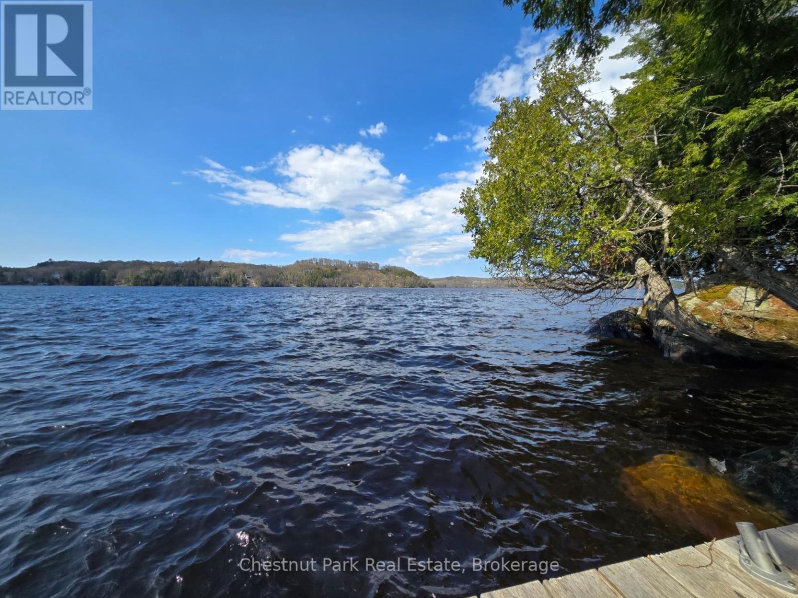 920 Big Island, Huntsville, Ontario  P1H 2J2 - Photo 33 - X12222691