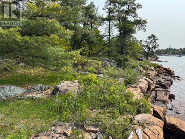 1 A775 Island, The Archipelago, Ontario  P0C 1G0 - Photo 28 - X12222740