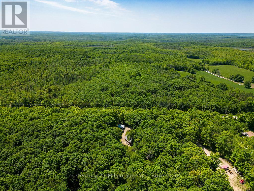 495115 Grey 2 Road, Blue Mountains, Ontario  N0H 2E0 - Photo 25 - X12223002