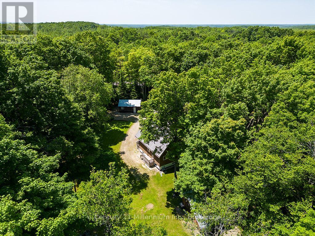 495115 Grey 2 Road, Blue Mountains, Ontario  N0H 2E0 - Photo 26 - X12223002