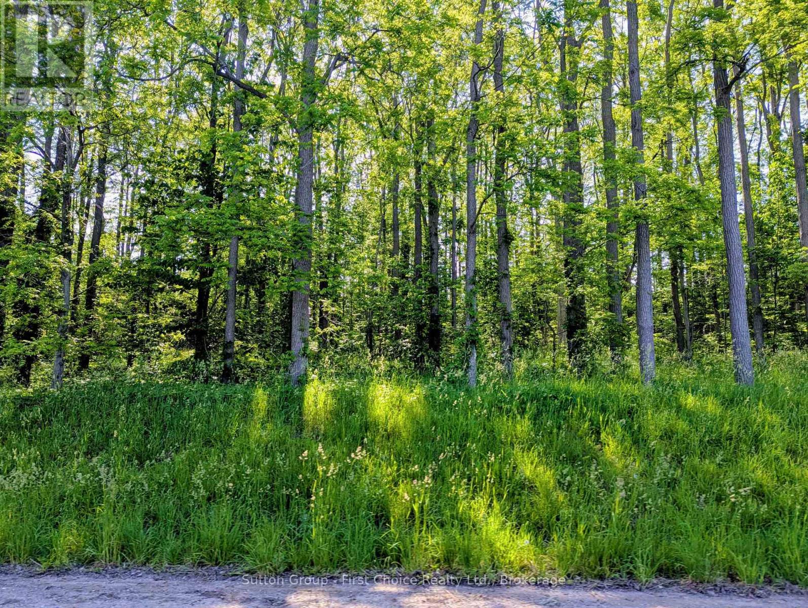 LOT 17 JOHN STREET, Central Huron, Ontario