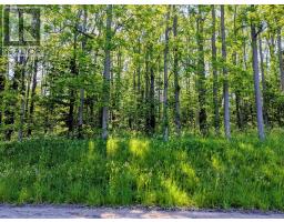 LOT 17 JOHN STREET, Central Huron, Ontario