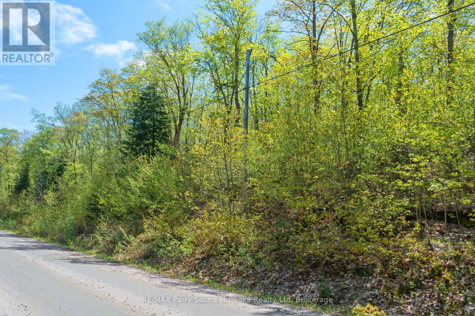 1835 Lorimer Lake Road N, Whitestone, Ontario  P2A 1G0 - Photo 6 - X12224146