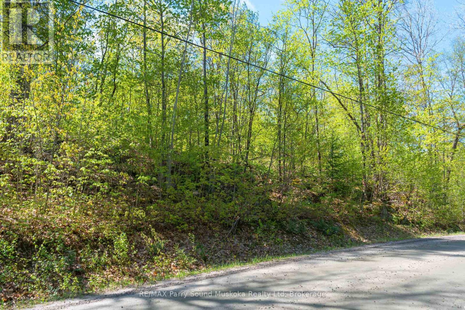 1835 Lorimer Lake Road N, Whitestone, Ontario  P2A 1G0 - Photo 7 - X12224146