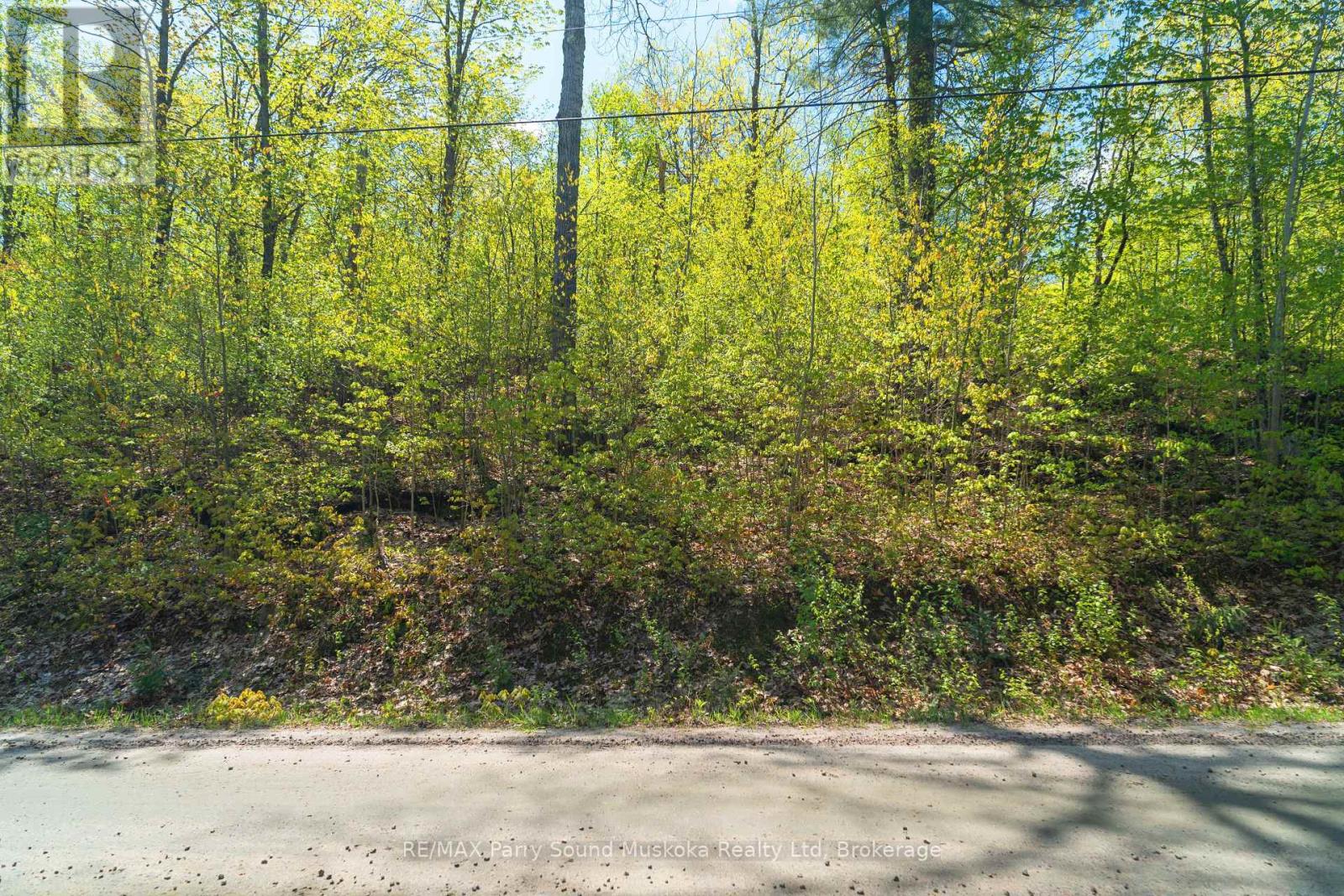 1835 Lorimer Lake Road N, Whitestone, Ontario  P2A 1G0 - Photo 8 - X12224146