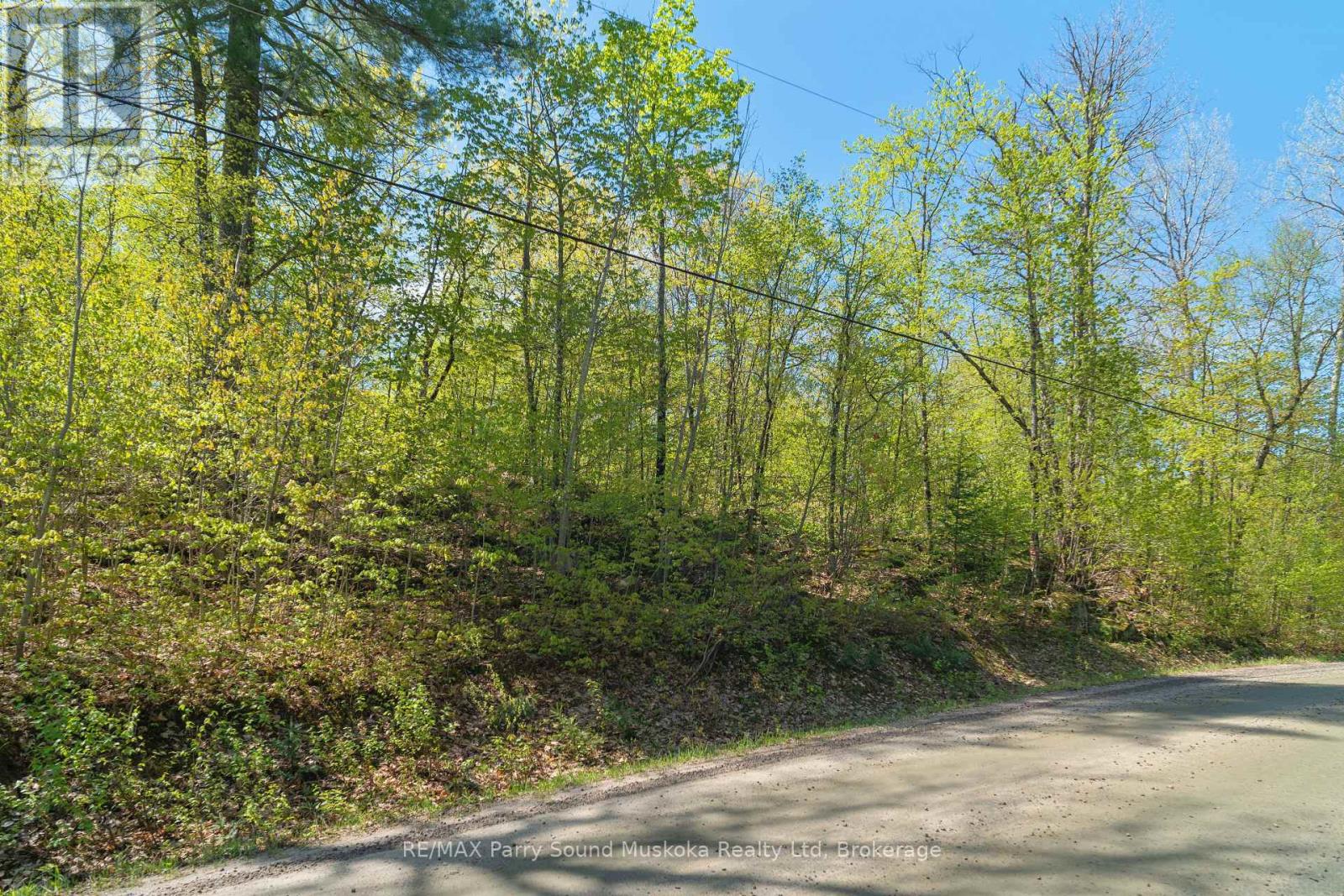 1835 Lorimer Lake Road N, Whitestone, Ontario  P2A 1G0 - Photo 9 - X12224146