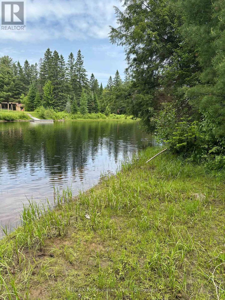 170 Cedar Shores Private, Bracebridge, Ontario  P1L 1W9 - Photo 11 - X12224220