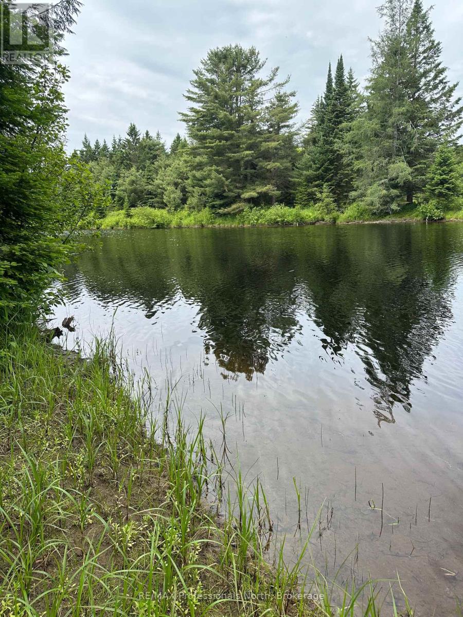 170 Cedar Shores Private, Bracebridge, Ontario  P1L 1W9 - Photo 13 - X12224220