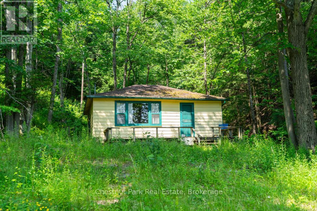 159 Keith Road, Bracebridge, Ontario  P1L 0G8 - Photo 36 - X12224343