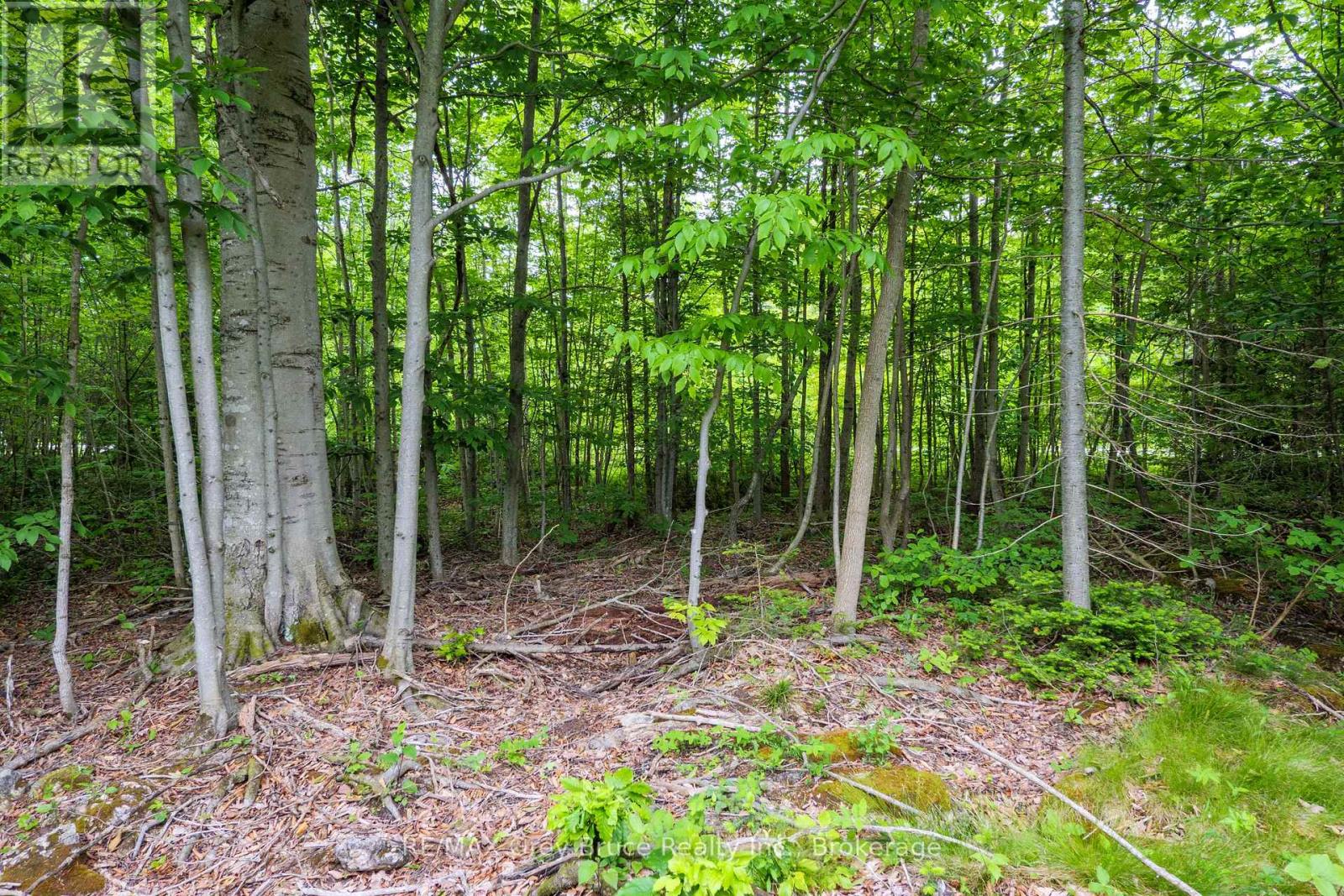 00 Parkside Avenue, South Bruce Peninsula, Ontario  N0H 2T0 - Photo 20 - X12226167