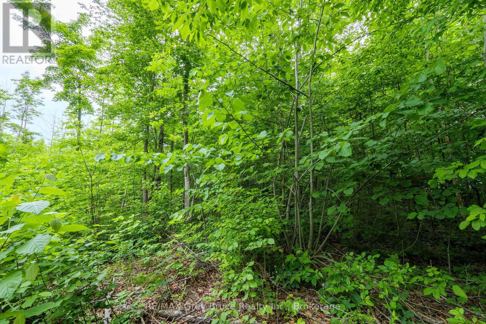 00 Parkside Avenue, South Bruce Peninsula, Ontario  N0H 2T0 - Photo 21 - X12226167