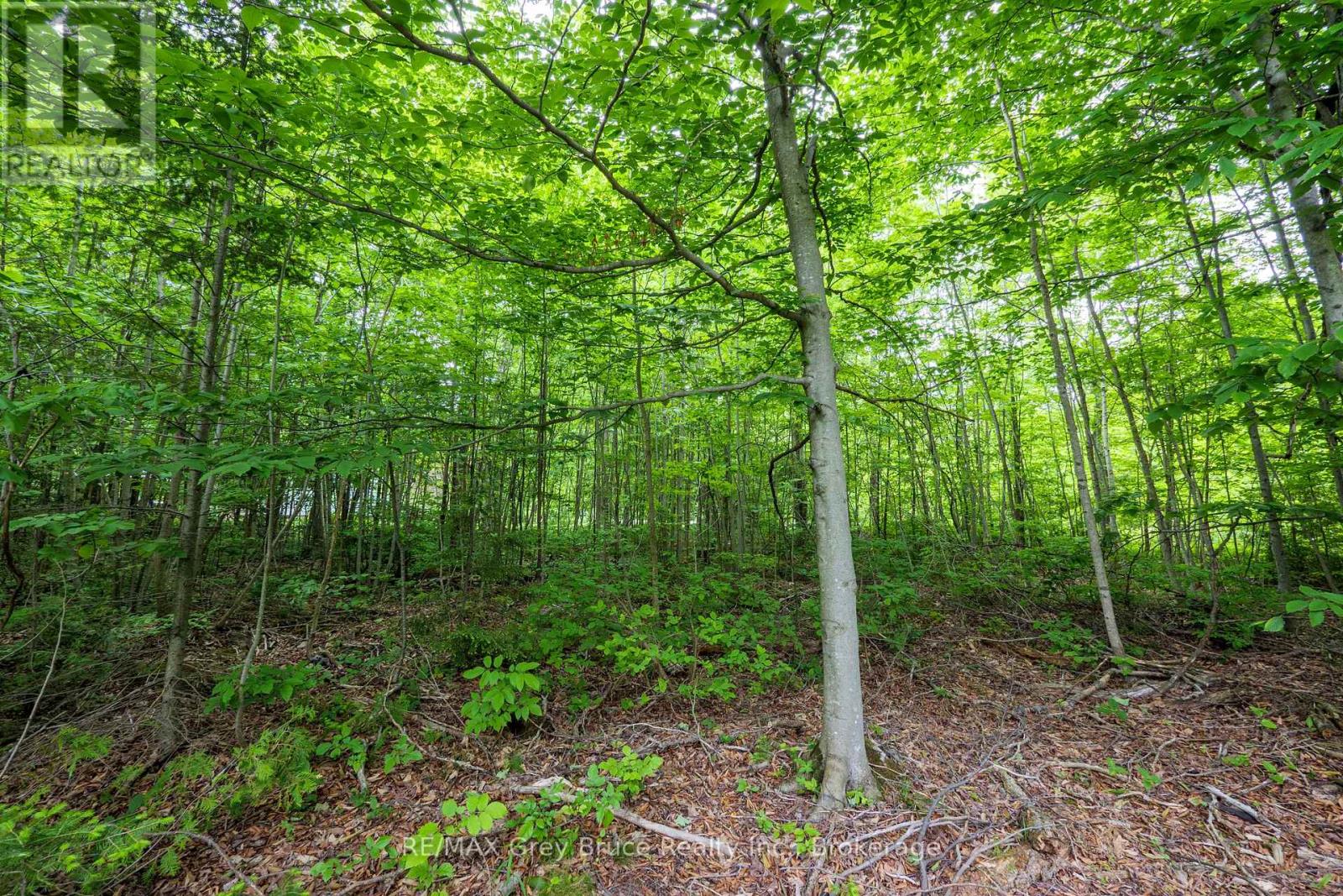 00 Parkside Avenue, South Bruce Peninsula, Ontario  N0H 2T0 - Photo 22 - X12226167