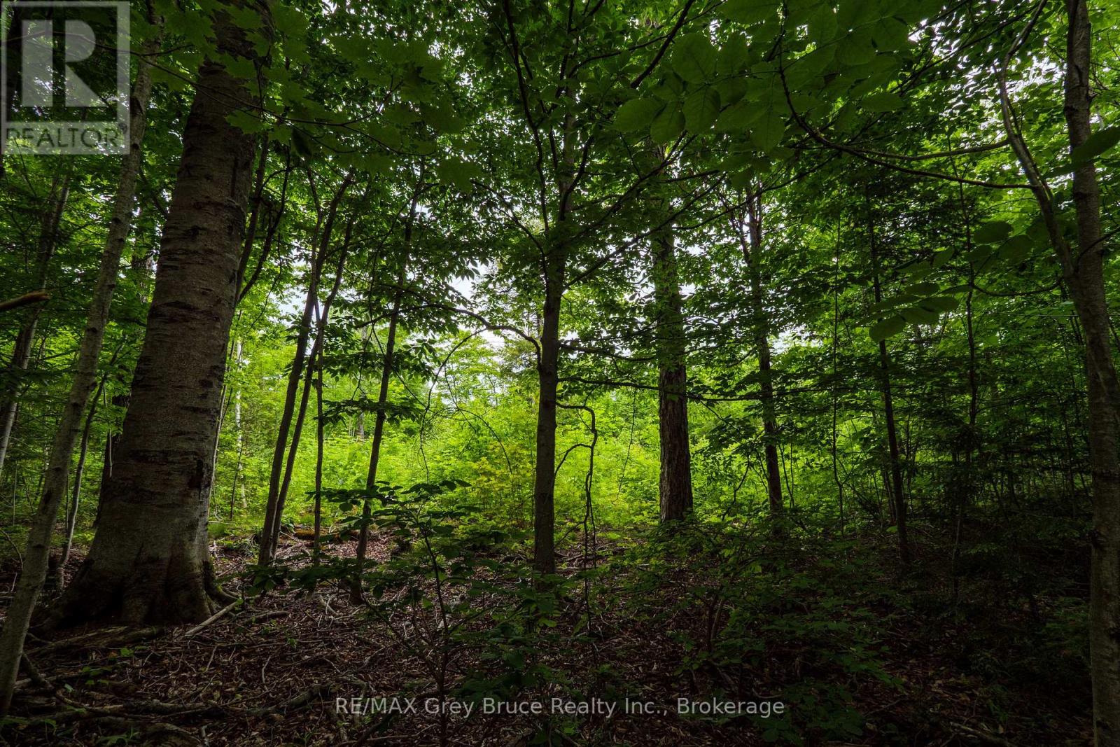 00 Parkside Avenue, South Bruce Peninsula, Ontario  N0H 2T0 - Photo 25 - X12226167