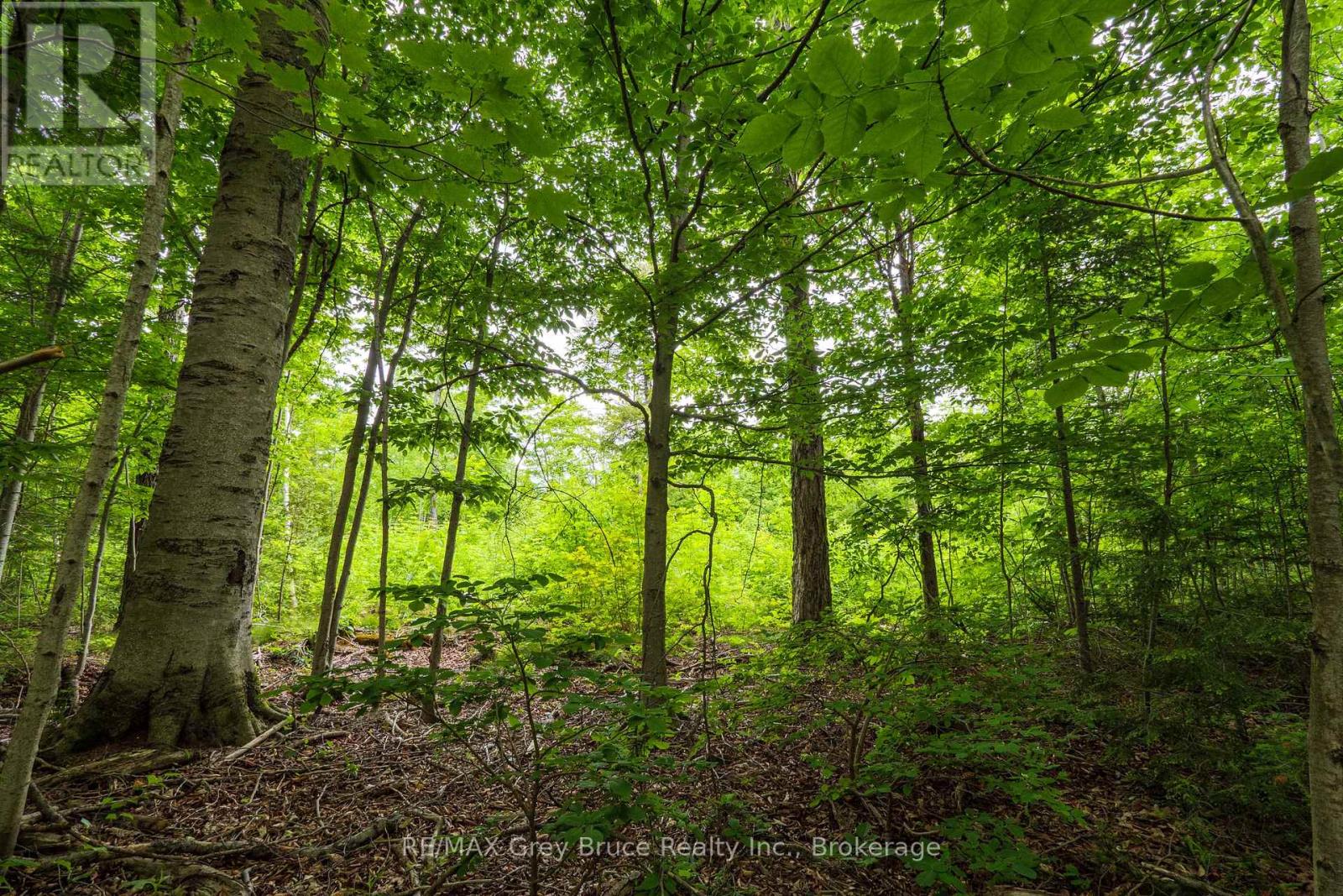 00 Parkside Avenue, South Bruce Peninsula, Ontario  N0H 2T0 - Photo 26 - X12226167