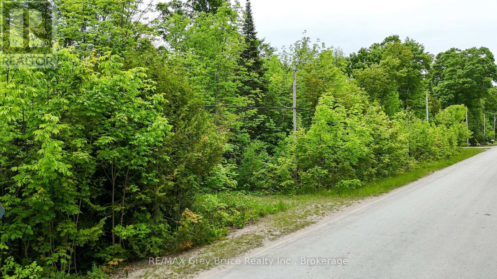 0 Parkside Avenue, South Bruce Peninsula, Ontario  N0H 2T0 - Photo 14 - X12226185