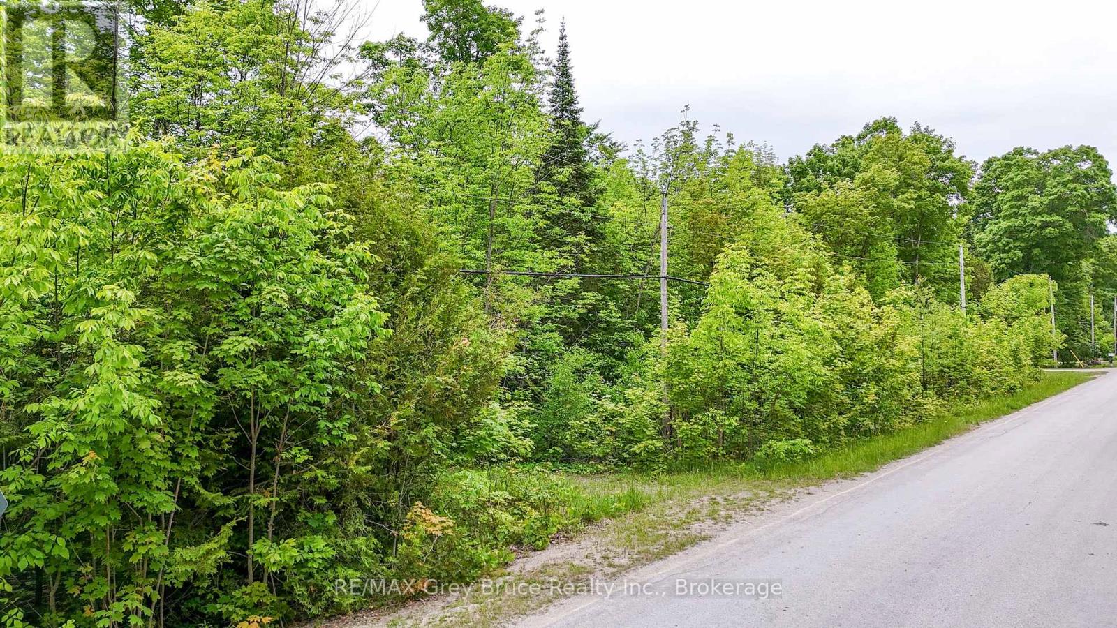 0 Parkside Avenue, South Bruce Peninsula, Ontario  N0H 2T0 - Photo 15 - X12226185
