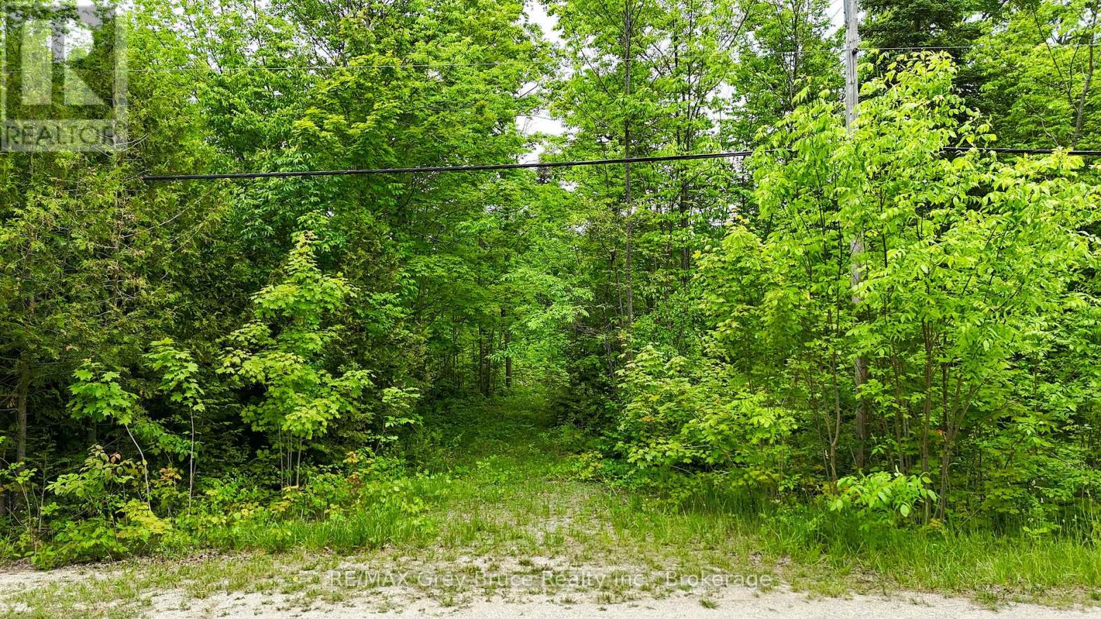 0 Parkside Avenue, South Bruce Peninsula, Ontario  N0H 2T0 - Photo 16 - X12226185
