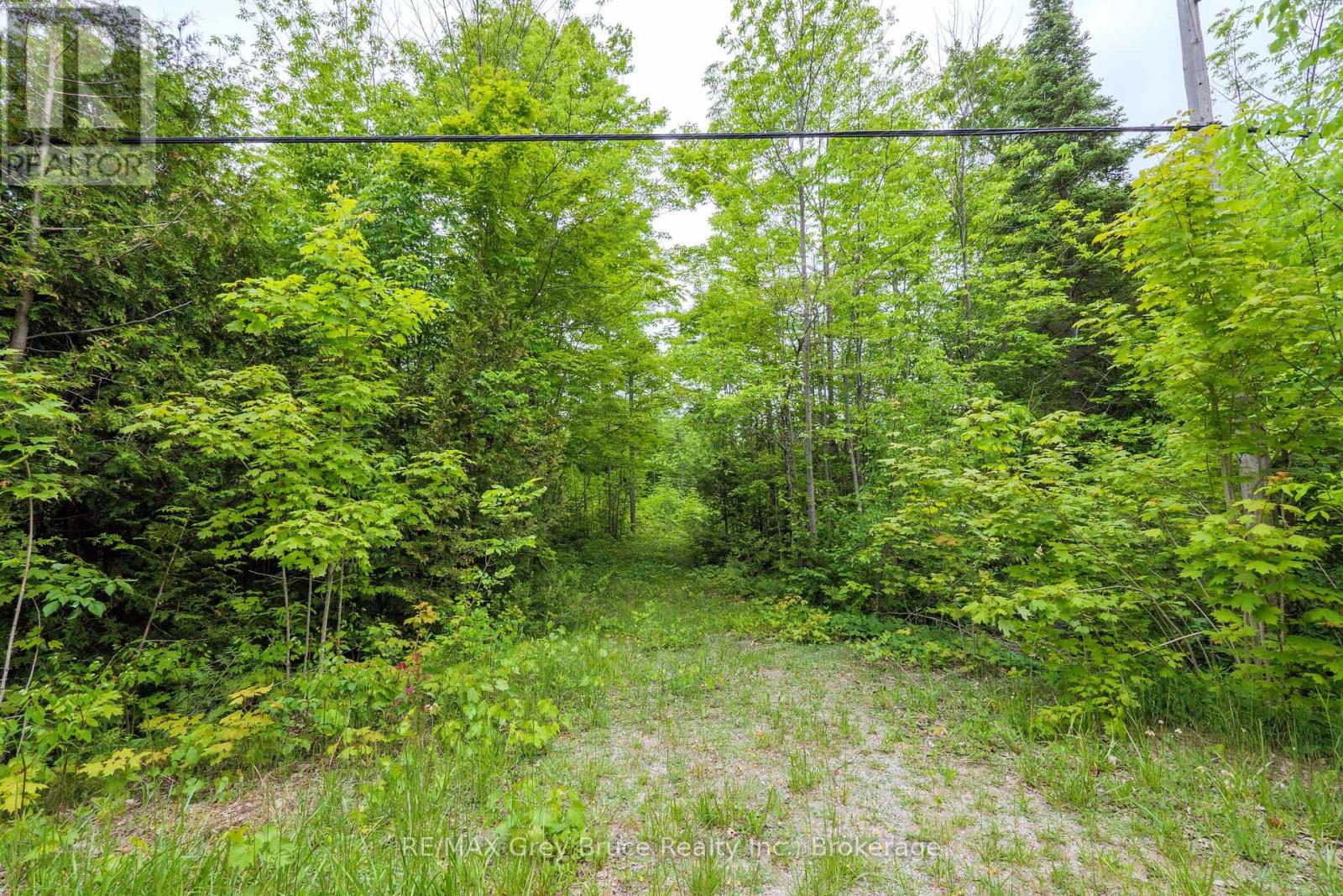 0 Parkside Avenue, South Bruce Peninsula, Ontario  N0H 2T0 - Photo 21 - X12226185