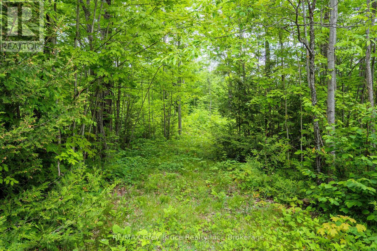 0 Parkside Avenue, South Bruce Peninsula, Ontario  N0H 2T0 - Photo 22 - X12226185
