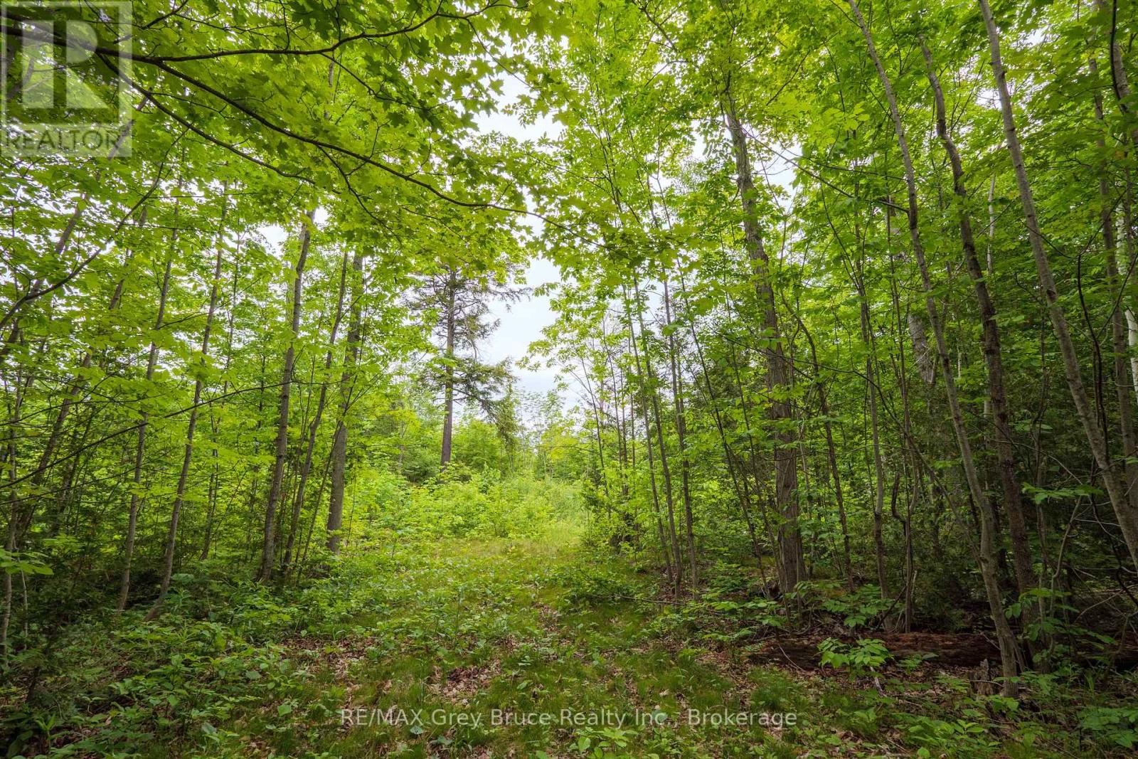 0 Parkside Avenue, South Bruce Peninsula, Ontario  N0H 2T0 - Photo 23 - X12226185