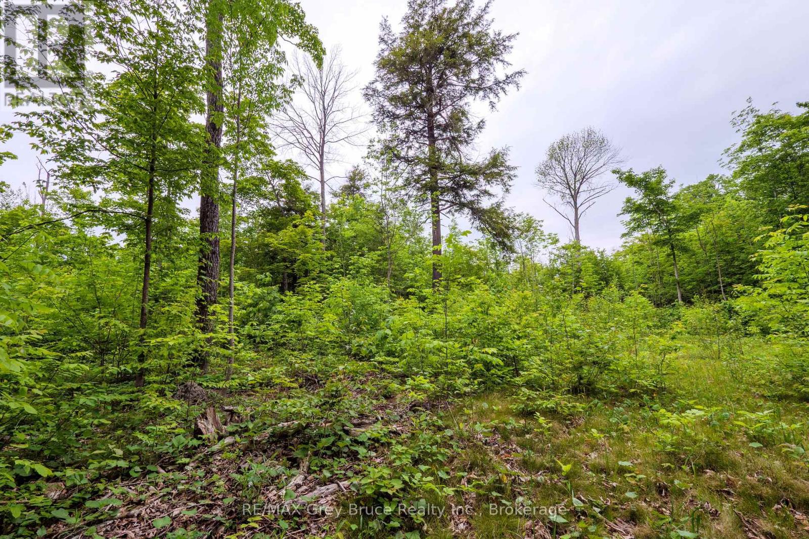0 Parkside Avenue, South Bruce Peninsula, Ontario  N0H 2T0 - Photo 24 - X12226185